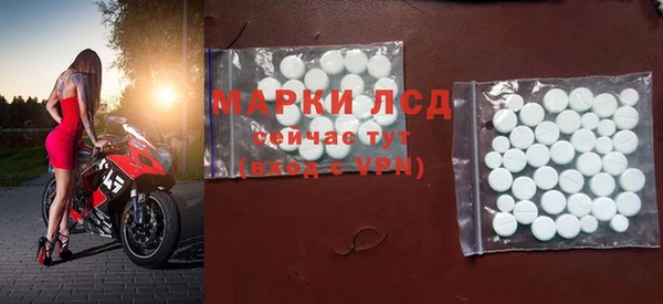 мяу мяу мука Абаза