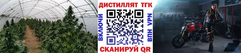 Дистиллят ТГК гашишное масло  Тырныауз 