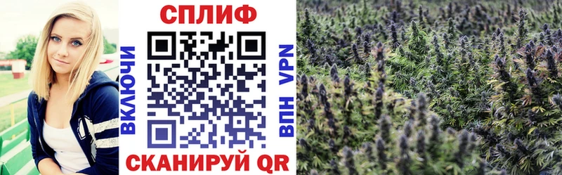 Конопля семена  Тырныауз 
